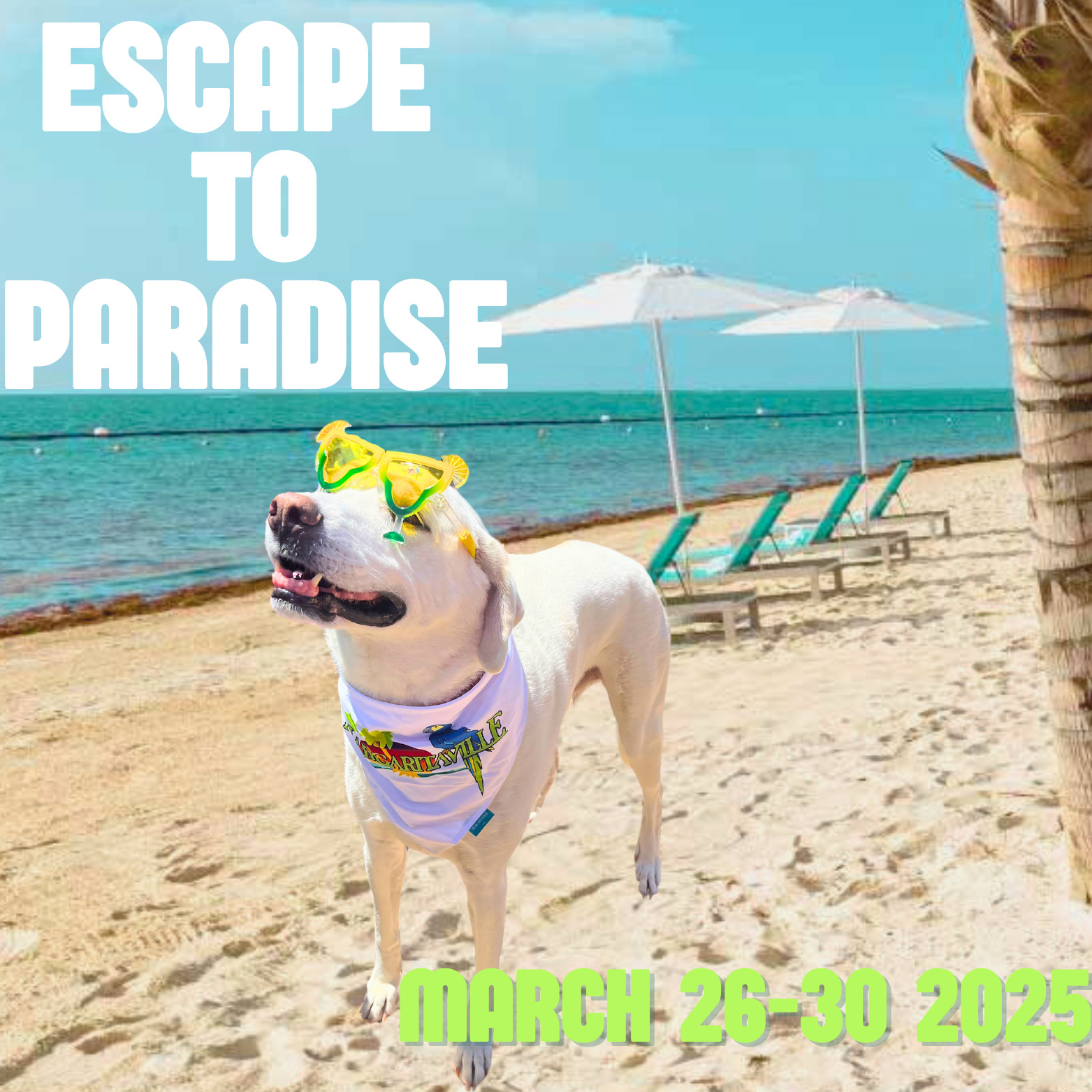 Harley in mexico.zip - 1 Harley in mexico.zip - 1